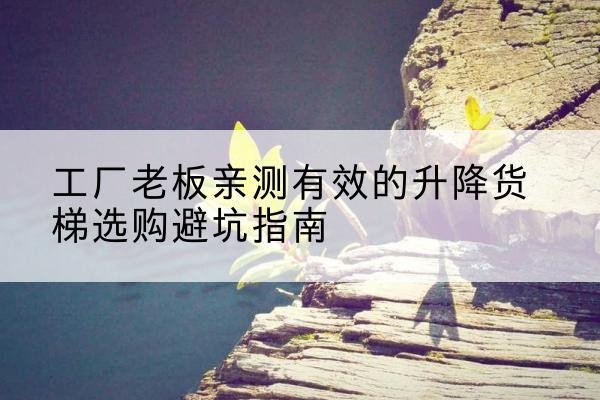 闽侯升降货梯怎么选-工厂老板亲测有效的升降货梯选购避坑指南