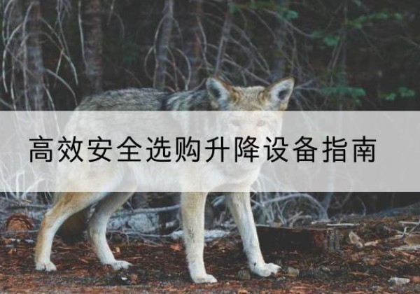 闽侯升降货梯厂家推荐-*安全选购升降设备指南