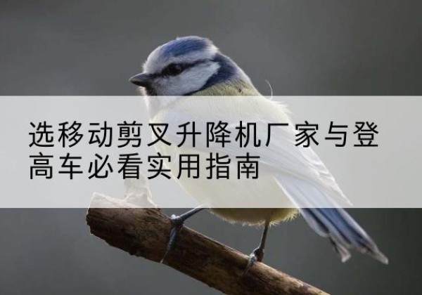 闽侯电动升降机厂家-选移动剪叉升降机厂家与登高车必看实用指南