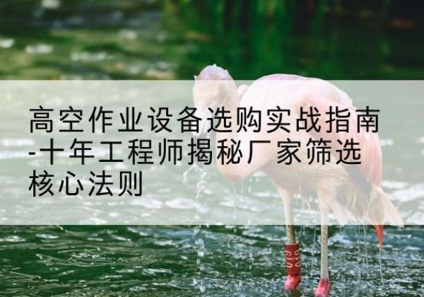 闽侯剪叉式升降机厂家-高空作业设备选购实战指南-十年工程师揭秘厂家筛选核心法则